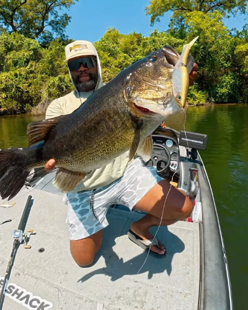 Lake giant on the glide bait 🎣